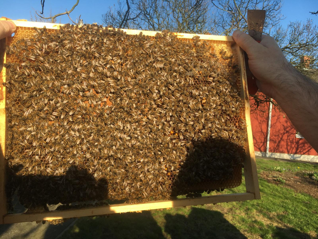 8C99FFB3-C741-4816-AC70-D32F27ABAC02