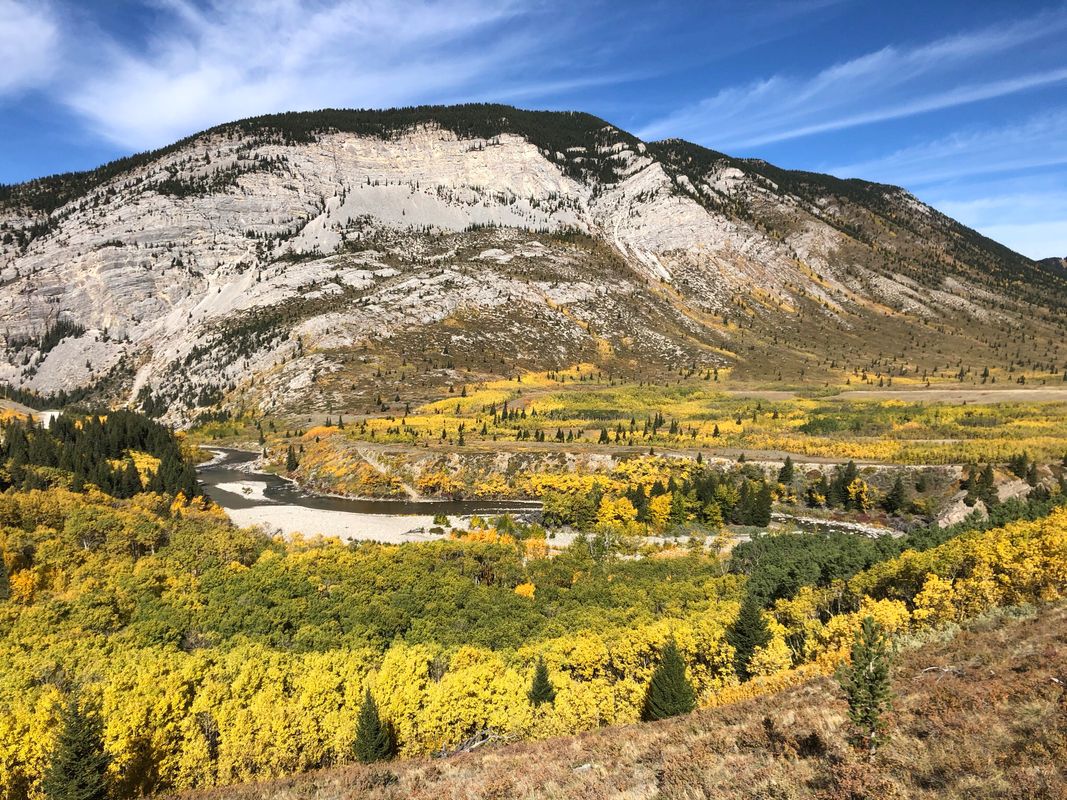 5BC6B42E-5CD0-4669-BA9E-685CEC9FBA3C