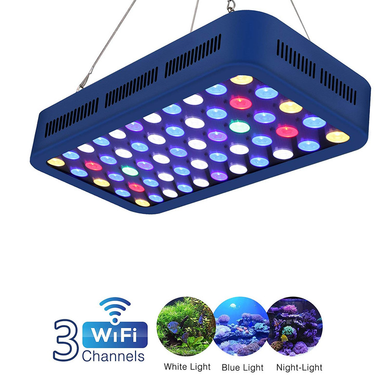 71 RE9Ee2hL._SL1500_