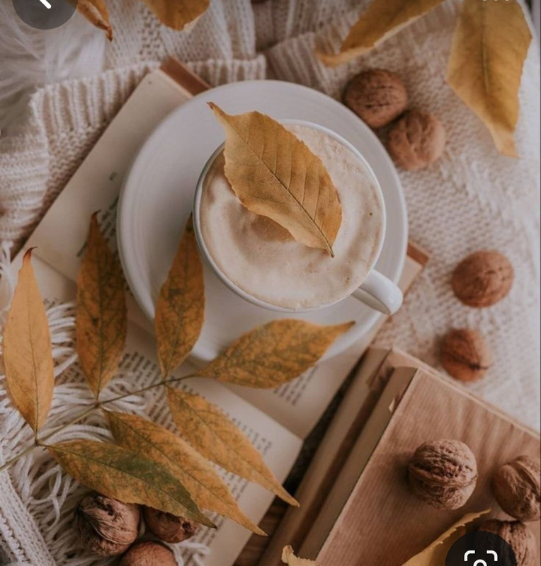 Screenshot_20230905_015806_Pinterest