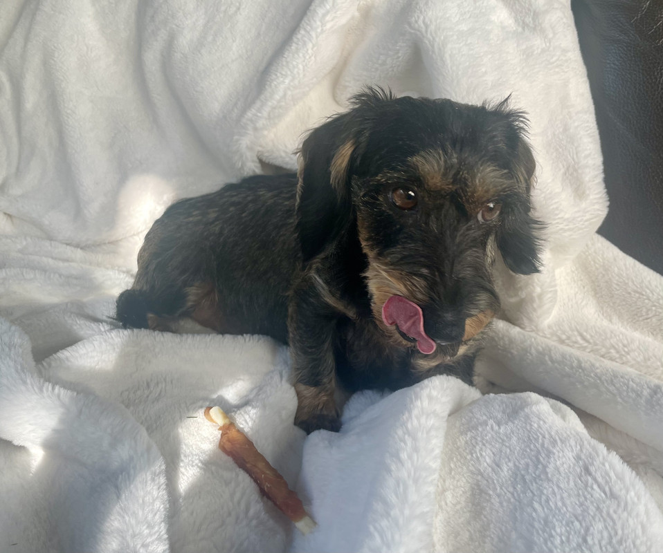 [Image: IMG-7735.jpg]