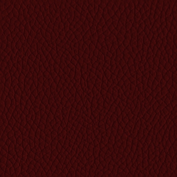 Archmodels45_lether_2_diffuse