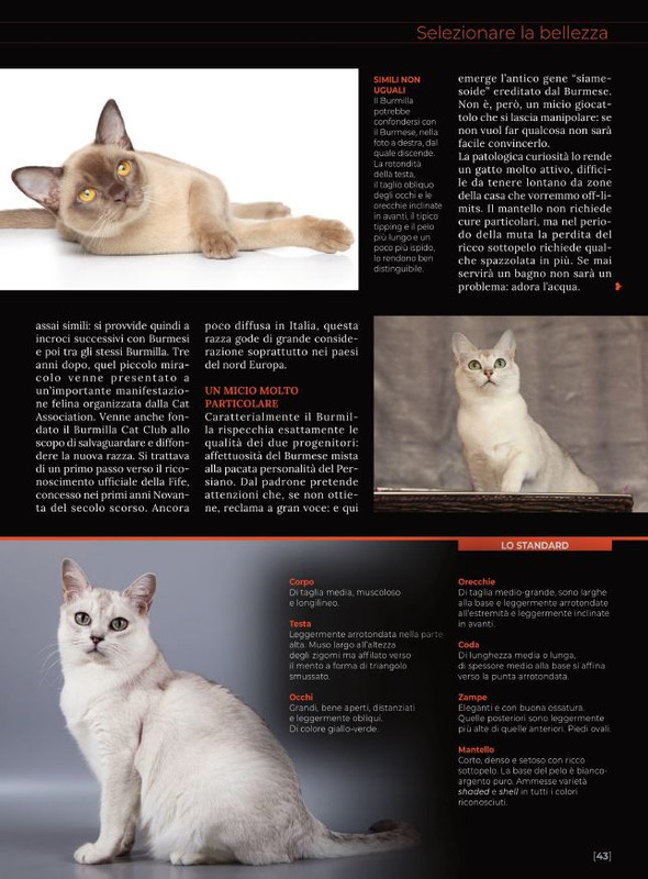 Ga Ma Ott-Nov 2022 (8)