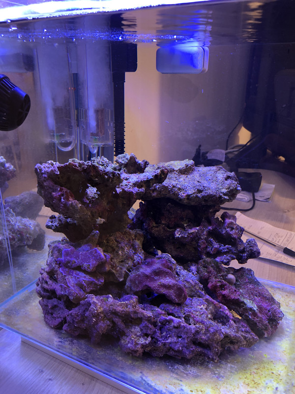 DA6CE21C-96DD-4AE2-B6D0-504E6FF0DB9A