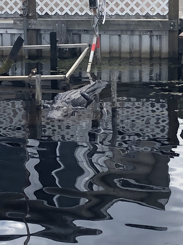 A7BC6C8B-3D28-4189-9C78-2F3640D8BC27