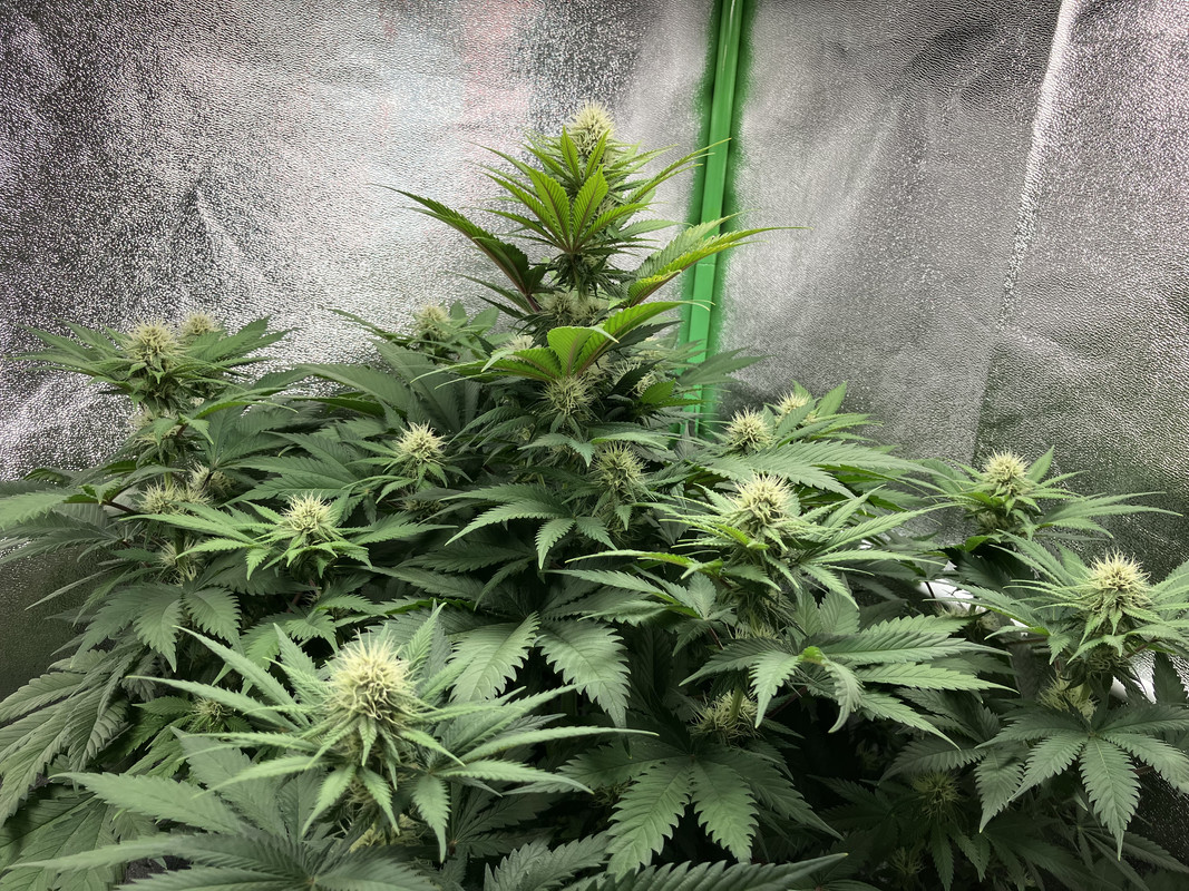 89259316-3CA1-4F36-AC7B-F79D5E61E769