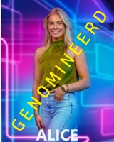 Alice-N2.jpg