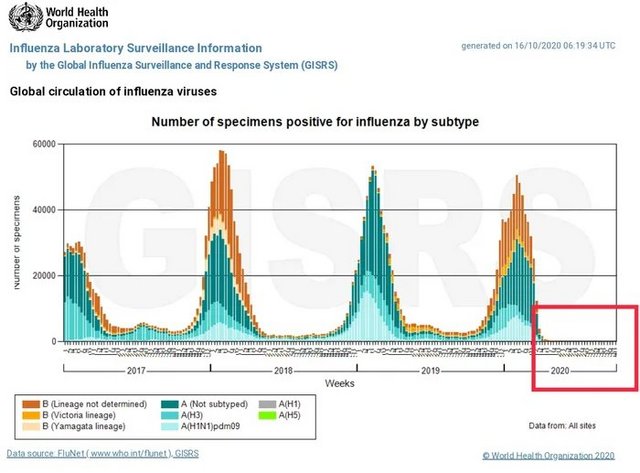 The-flu-miraculously-disappeared-in-2020-thanks-Covid-19.jpg
