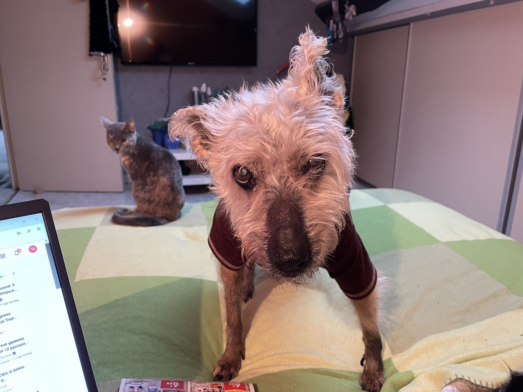 B14A2A51-96C1-45CE-B12F-2CC61A0E7928