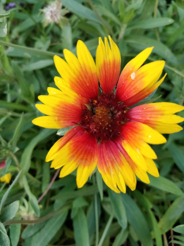 изображение_viber_2023-10-30_11-03-37-952