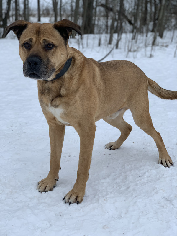 259843C5-88A6-4A55-8771-C9B2D89634DF