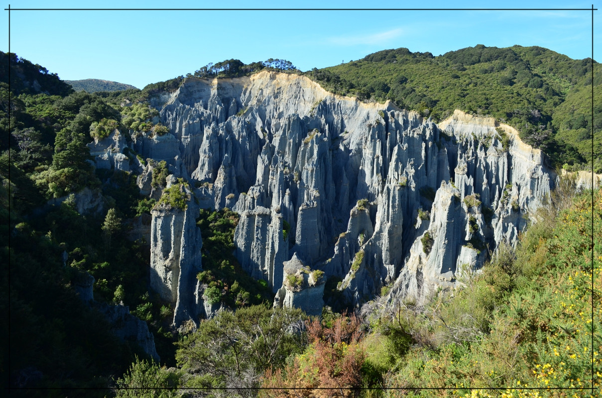 Escapadas y rutas por la Nueva Zelanda menos conocida - Blogs de Nueva Zelanda - Wairarapa, esa gran desconocida (6)