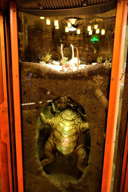 DOK-ONDAR DEN OF ANTIQUITIES: Tienda-museo para amantes de Star Wars - DISNEYLAND ~ STAR WARS: GALAXY'S EDGE, LA GUIA (13)