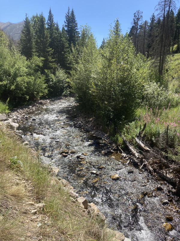 BCEC7AB7-BEE8-4EF4-BE67-23EB2D3E7F94