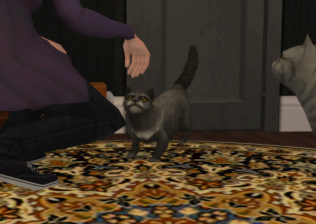 Sims2-EP9-RPC-2023-06-17-21-37-44-75