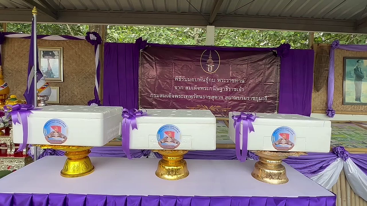 vlcsnap-2025-08-26-15h10m56s773