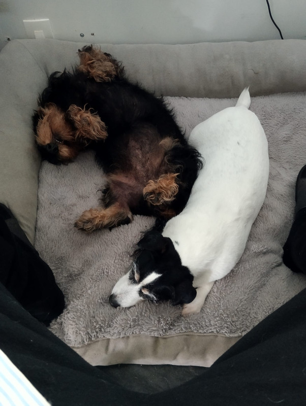 [Image: IMG-20240617-WA0004.jpg]