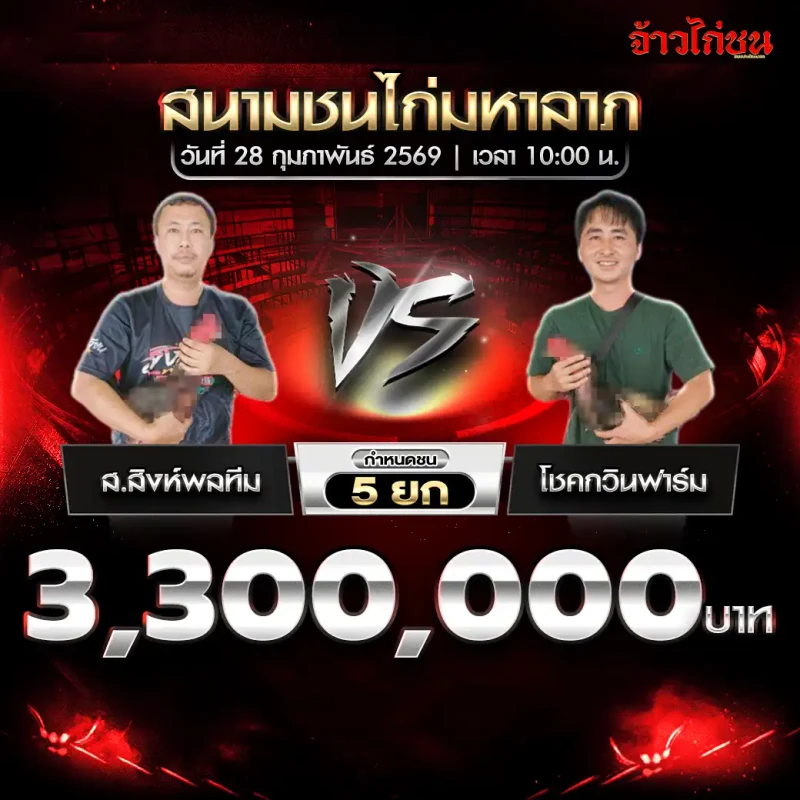 โปรแกรมไก่ชน สนามชนไก่มหาลาภ 28 กุมภาพันธ์ 2569 คู่ ส.สิงห์พลทีม vs โชคกวินฟาร์ม เงินรางวัล 3,300,000 บาท