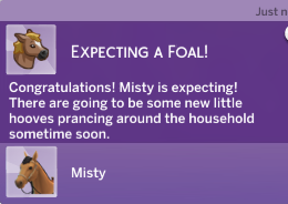 misty-is-expecting.png