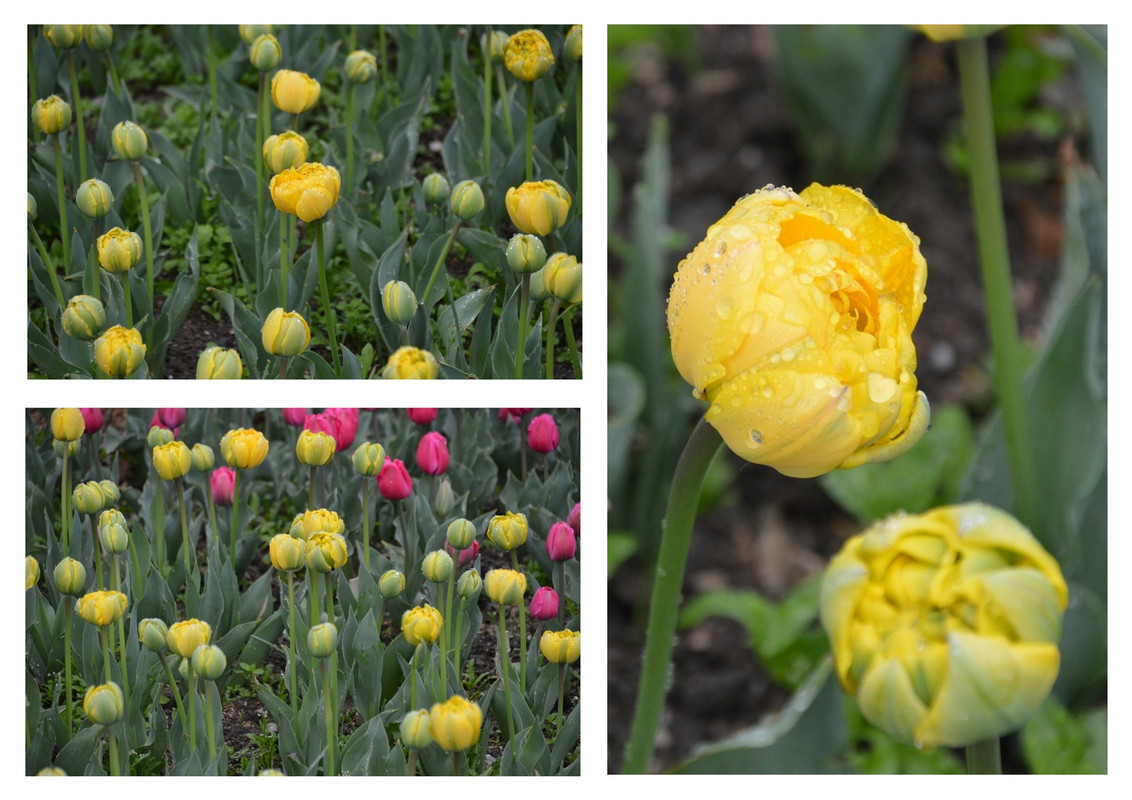 Новый коллаж.jpg 18