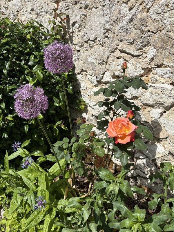 [Image: IMG-0171.jpg]