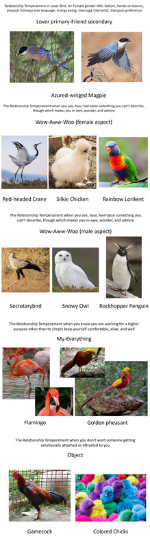 relationship-birds2