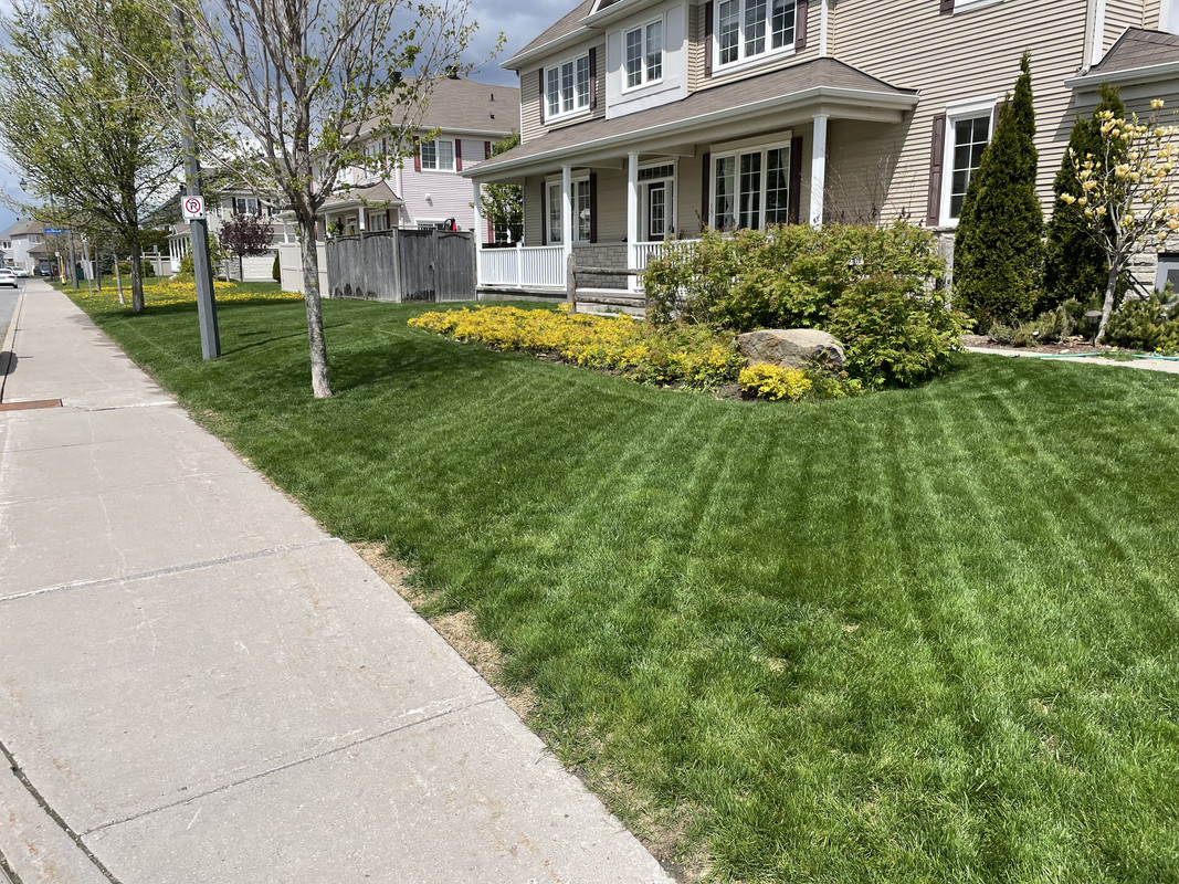 FD933AA9-4977-4E98-92E3-3B2D93D47EF4