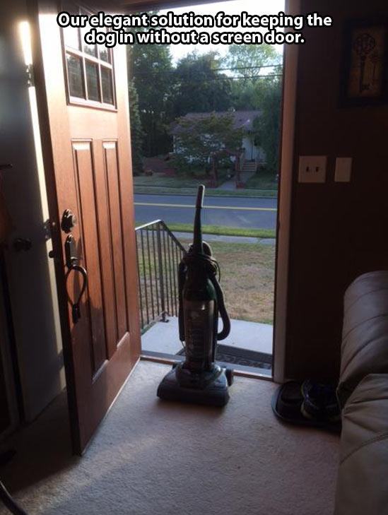 25 Things All Dog Owners Can Relate To