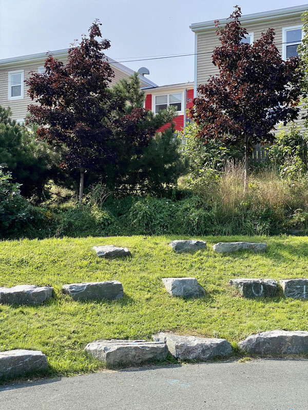 372380388_840463867576521_1772790101354527815_n