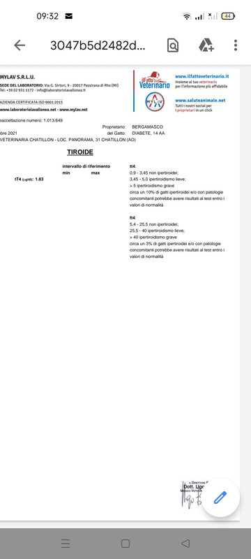 анализы Нюша1