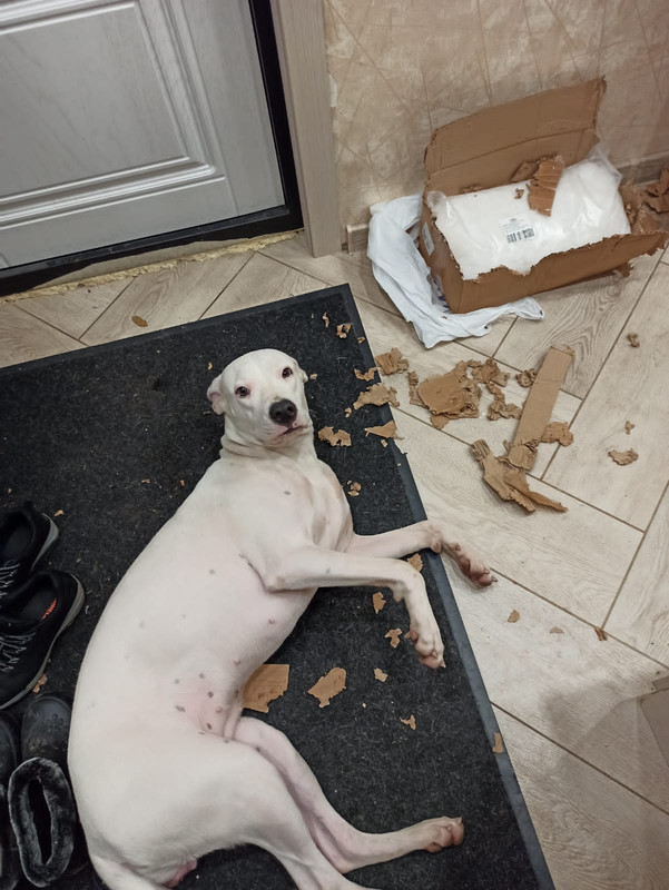 F074367B-6796-4973-9660-DA396A0CA89F