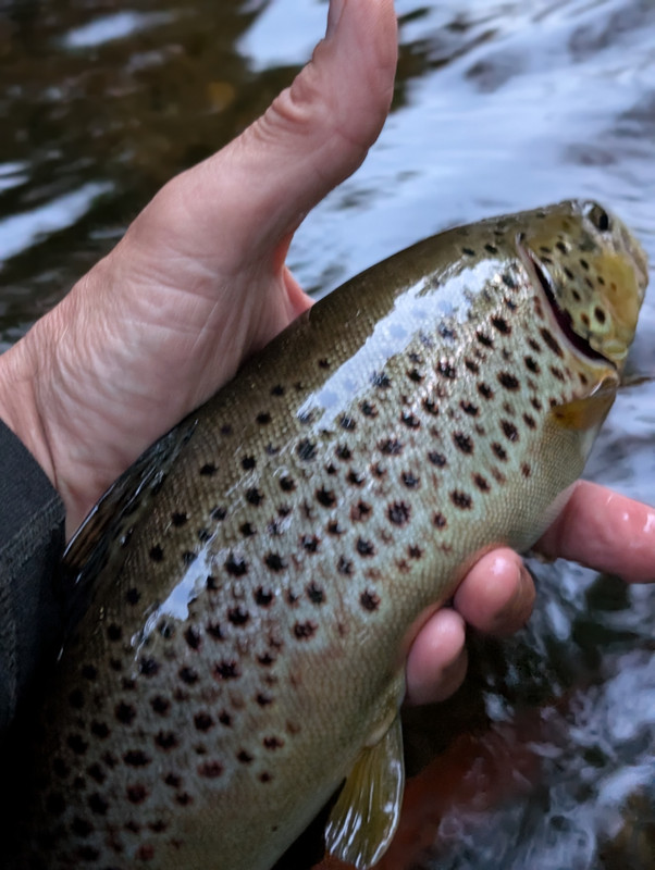 PXL_20250612_003254438.PORTRAIT