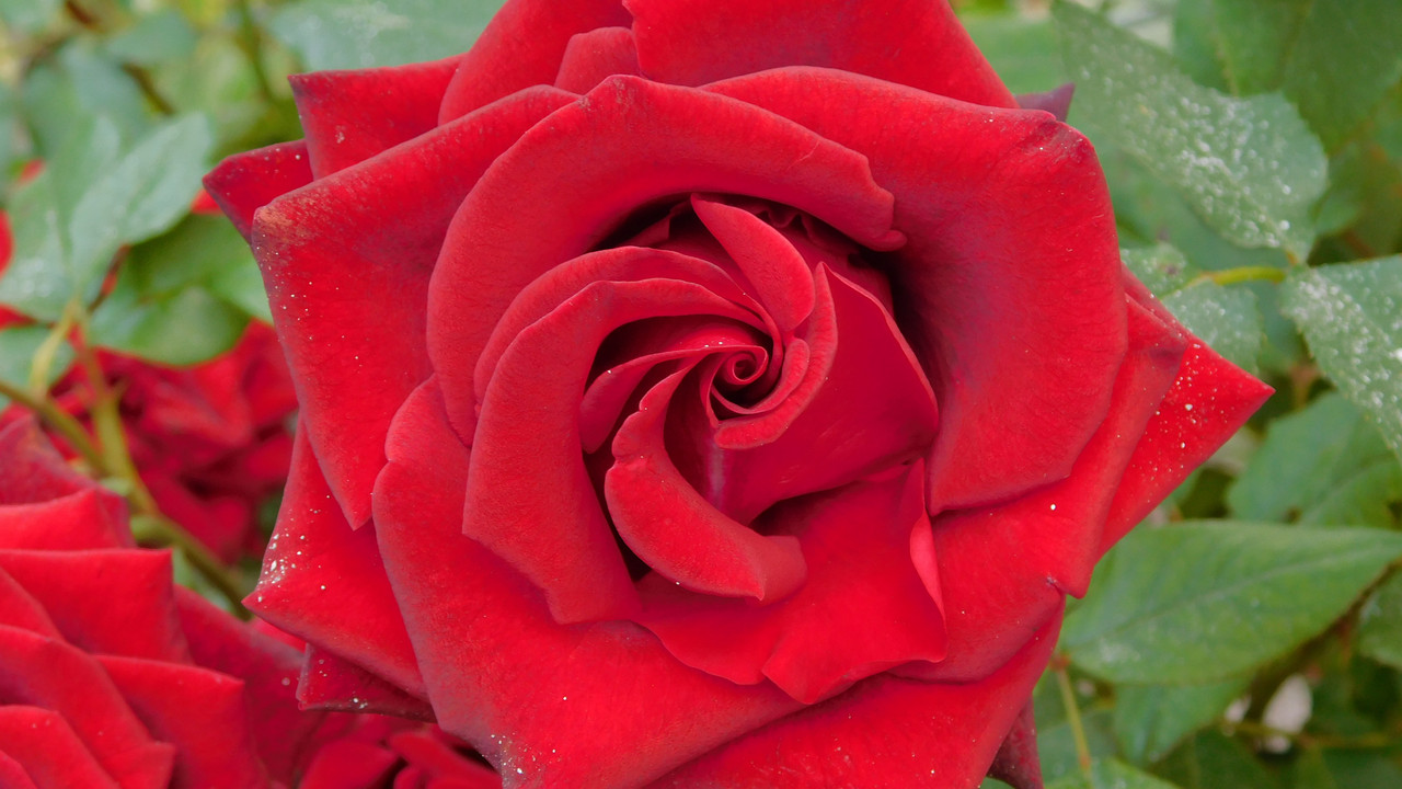 Дачное и  к Хелл сентябрь 2023 115