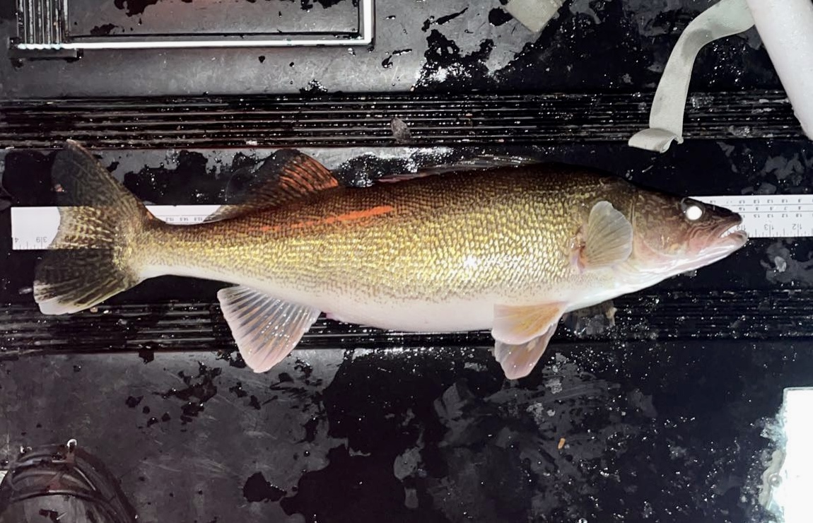 E4D1824B-686A-4876-B659-8F8C378714FE