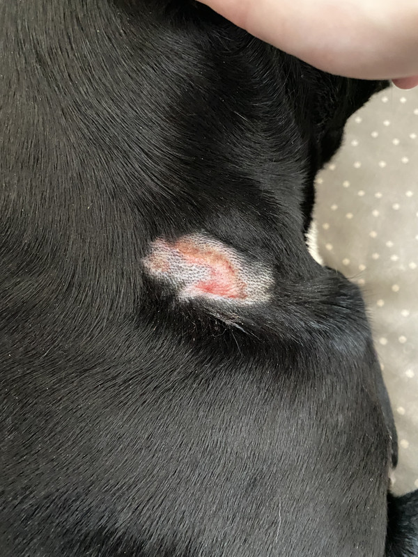 16D533F5-71C3-40C4-9F19-844F3E807449