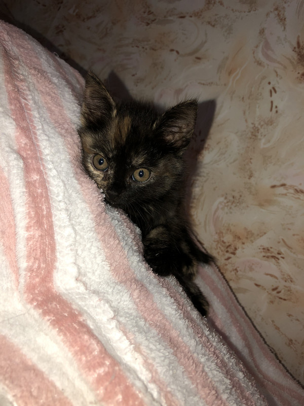 4B0C027F-BE0F-45C7-BA07-A6FB5D0F25C6