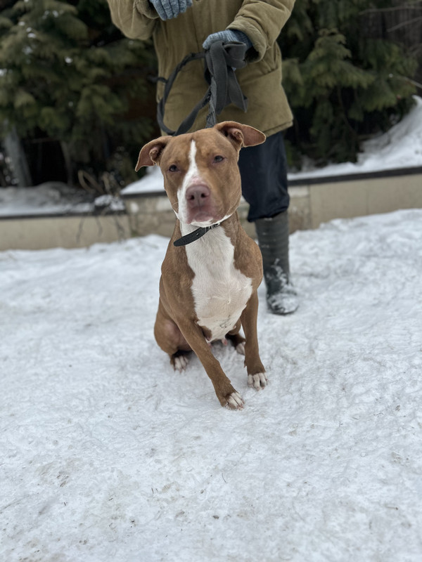 E512E61B-EECD-45E9-B729-B5437B540049