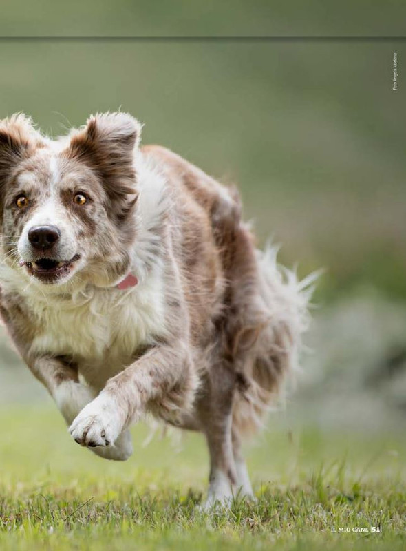 Il M C Lug-Ago 2022 (8)