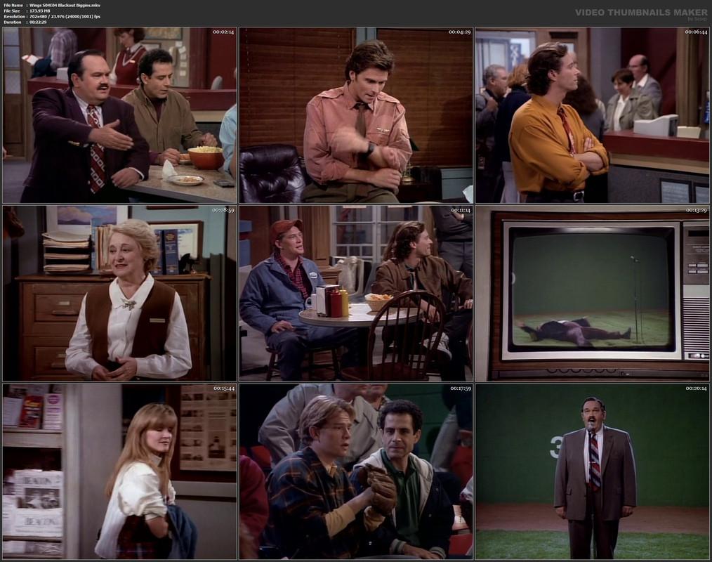 Wings S04E04 Blackout Biggins.mkv