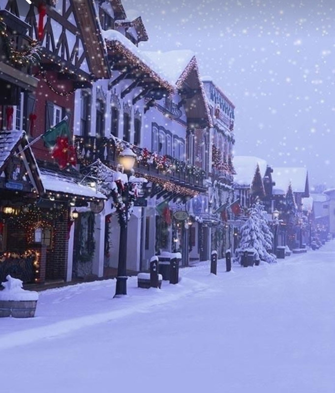 Screenshot_20231126_134211_Pinterest