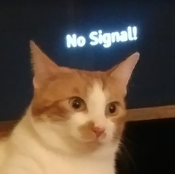 1655971350388.png
