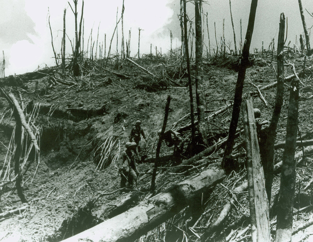 hamburger-hill.jpg