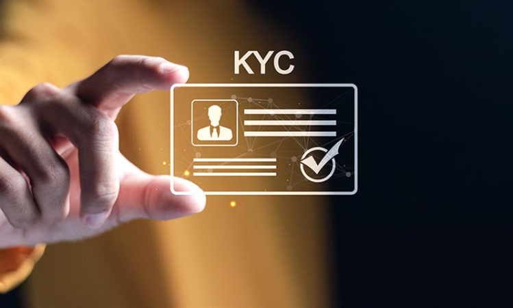 article content image