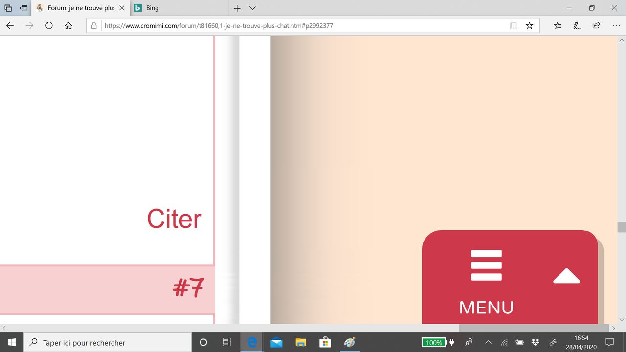 Capture d'écran 2020-04-28 16.54.15