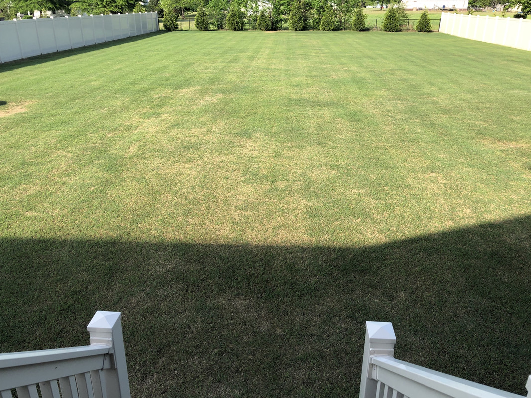 E7F31938-0CC8-44AF-88D3-C75F1D1CED52