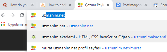 Chrome otomaik önerilen url silme