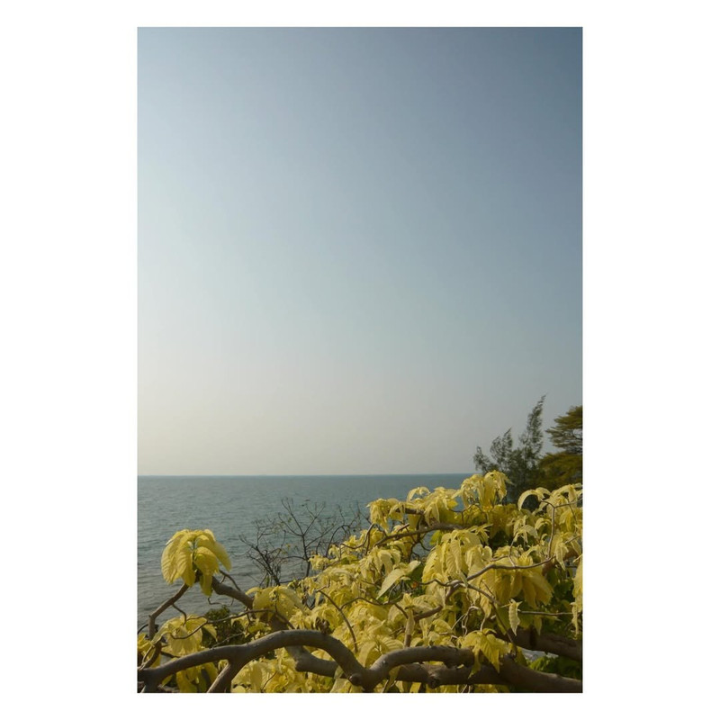 photo 7 2026 01 16 22 16 38