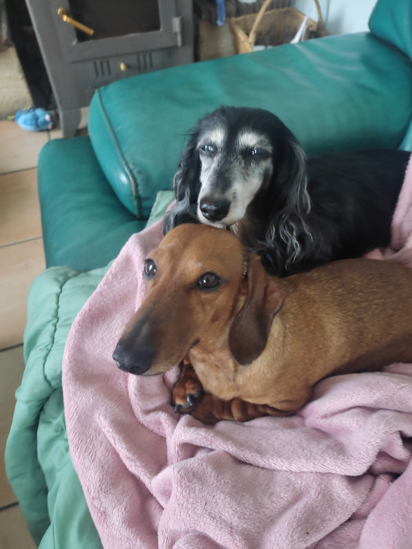 [Image: IMG-20240325-123720.jpg]