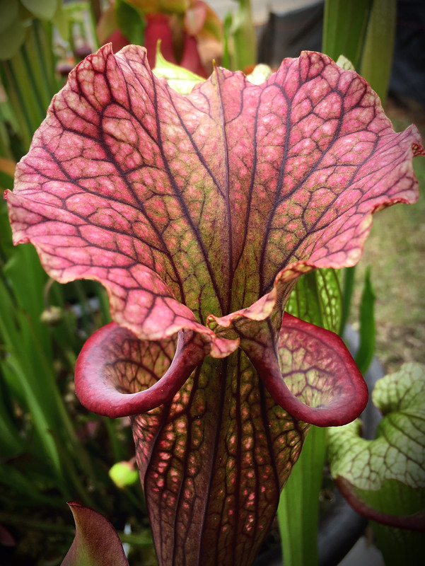 5F4B86F8-8754-40B2-8D0C-6786B17F006C