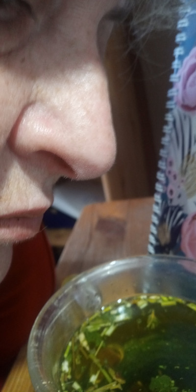 Kép